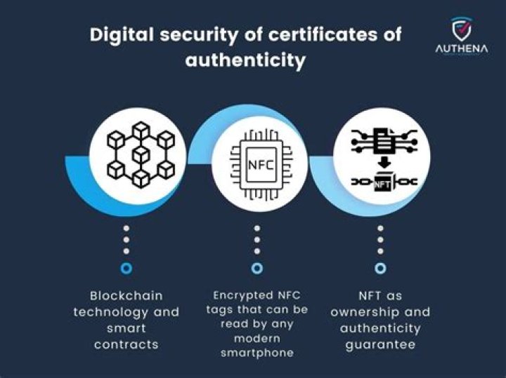 A Journey Of Authenticity And Digital Success